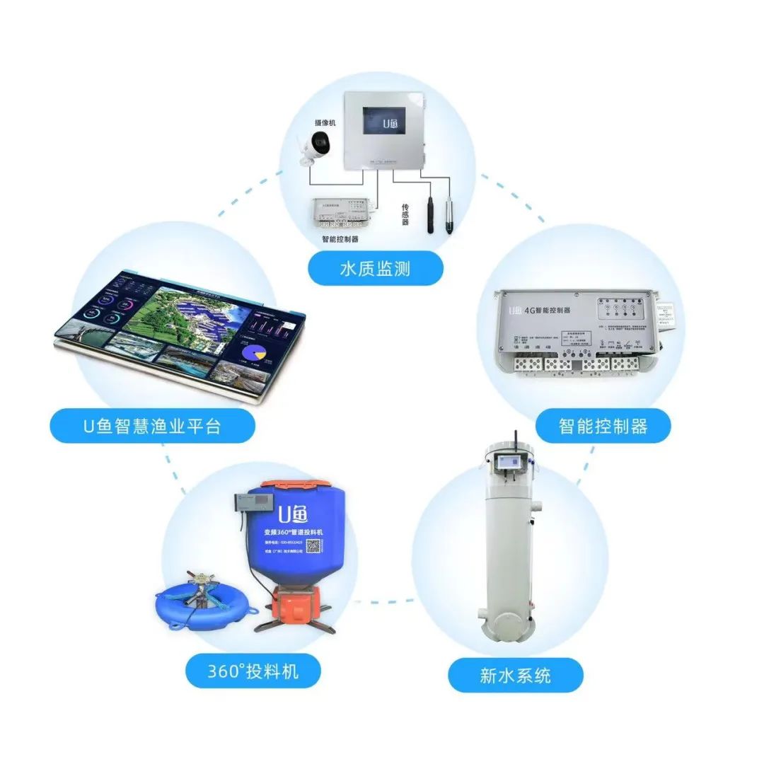 養(yǎng)殖設(shè)備免費(fèi)送？互聯(lián)網(wǎng)技術(shù)如何重塑養(yǎng)殖設(shè)施行業(yè)新格局